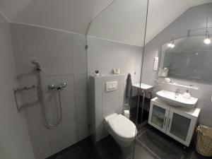 a bathroom with a toilet and a sink and a shower at Laura Luxury Apartman Gyenesdiás in Gyenesdiás