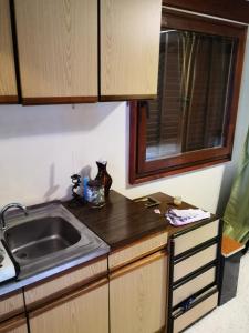 eine Küche mit einer Spüle und einer Arbeitsplatte in der Unterkunft Holiday Home Dragon in Visoko