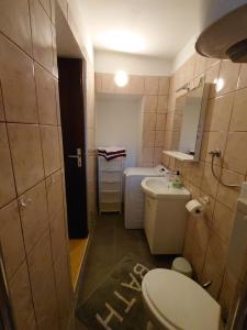 a small bathroom with a toilet and a sink at Apartmani Lea in Jadranovo +31 photos