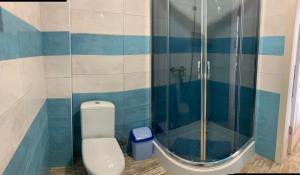 a bathroom with a toilet and a glass shower at Ожина in Szack +11 photos