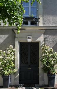 a black door in a building with two potted plants at Terre d'espérance in Saint-Aignan