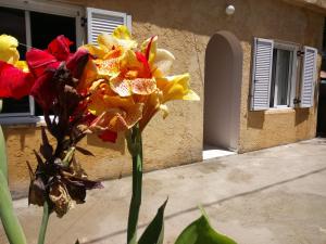 Fotografie z fotogalerie ubytování Sitzanaki Home ve městě Chania