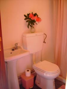 baño con aseo, lavabo y jarrón con flores en Casa da Penalva, en Santa Cruz do Lima
