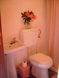 a bathroom with a toilet and a sink and a vase with flowers at Casa da Penalva in Santa Cruz do Lima