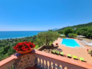 balcone con vaso di fiori e piscina di Villa Le Cannicelle a Villammare