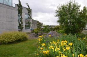 En trädgård utanför Villa Vassøy