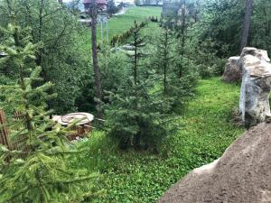 Vonkajšia záhrada v ubytovaní Domek Gabi z balią w ogrodzie