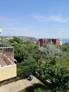 Táj az apartman közelében