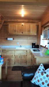 Kuchyň nebo kuchyňský kout v ubytování Tschurtschenthaler Lodge