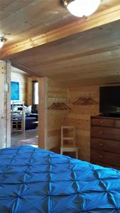 Kuchyň nebo kuchyňský kout v ubytování Tschurtschenthaler Lodge