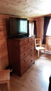 TV a/nebo společenská místnost v ubytování Tschurtschenthaler Lodge