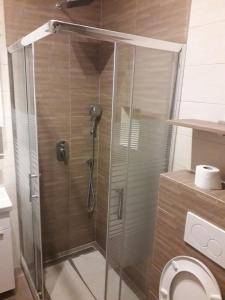 a shower stall in a bathroom with a toilet at Adriatic Sunset House in Petrovac na Moru