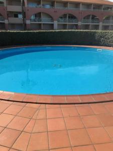 a large blue swimming pool in a building at Corsica studio Face à la mer Moriani plage in San-Nicolao