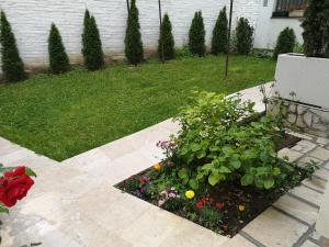 Giardino di Apartment Dalia