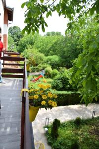 a garden with a flower pot on a fence at SMS Studios in Soko Banja