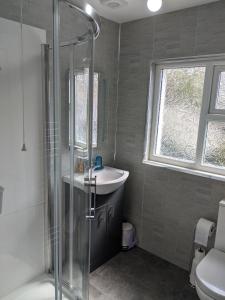 A bathroom at Seaview Ballintoy
