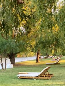 dos salones en un parque bajo un árbol en Cabañas Rio Soñado en Valle Grande