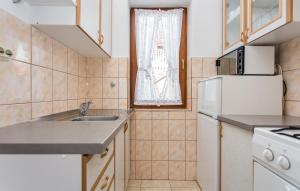 Kuchnia lub aneks kuchenny w obiekcie Apartman Ceković
