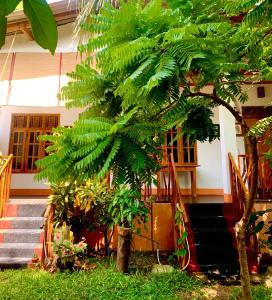 a house with some trees in front of it at Drift in Arugam Bay