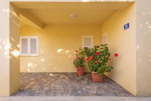 Fotografie z fotogalerie ubytování House Moro v destinaci Privlaka