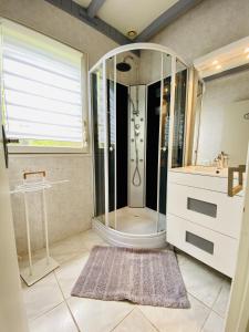 ビスカロッスにある144 ALLÉE DES PRES VERTS -013のバスルーム(シャワー、洗面台、鏡付)