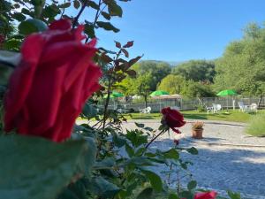 Zahrada ubytování B&B Oasi Vetoio