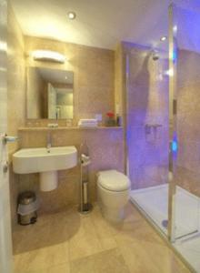 a bathroom with a toilet and a sink and a shower at Aaron Lodge in Edinburgh