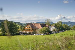 a house in a field with cars parked in a parking lot at Landgasthof zum Schützen in Oberried