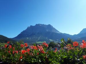 a view of a mountain with flowers in the foreground at Tirolerhof in Lermoos