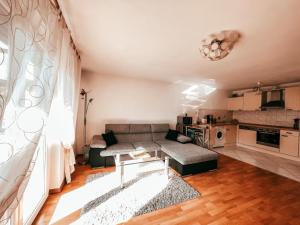 a living room with a couch and a kitchen at Sonnenschein in Baden-Baden