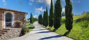 a road lined with trees next to a building at Agriturismo e Maneggio Poggio Leone in Gambassi Terme