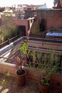 a balcony with potted plants on a building at Riad Turquoise in Marrakech