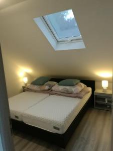 a bedroom with a bed with a skylight at Arapartman in Zamárdi