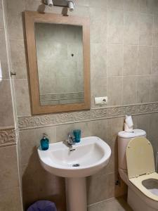 bagno con lavandino, servizi igienici e specchio di Apartamento Adimar a San Luis de Sabinillas