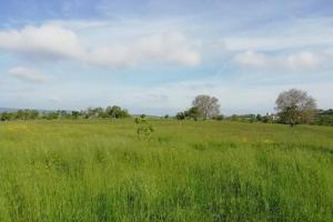 HergugneyにあるGîte la Mâh'nnotte, 4/6 pers. Axe Nancy/Épinal.のギャラリーの写真