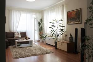 Posezení v ubytování Sunny Day Apartment
