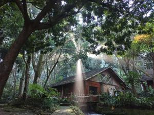 une maison au milieu d'une forêt dans l'établissement Imah Seniman, à Lembang