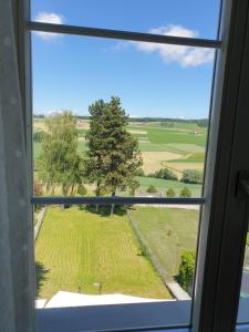 Příroda nedaleko hotelu
