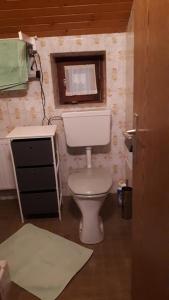 a small bathroom with a toilet and a sink at Haus Pilz in Obertraun
