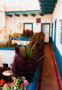 Fotografie z fotogalerie ubytování Blue Bicycle House v destinaci Querétaro