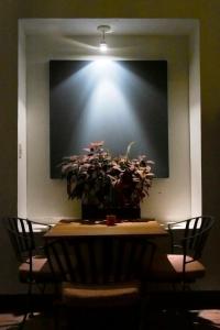 Fotografie z fotogalerie ubytování Blue Bicycle House v destinaci Querétaro