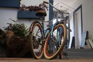 Jízda na kole v ubytování Blue Bicycle House nebo okolí