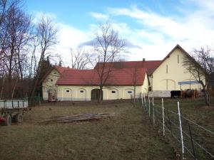 un granero blanco grande con vacas delante en Jaworowa Zagroda, en Domaszków