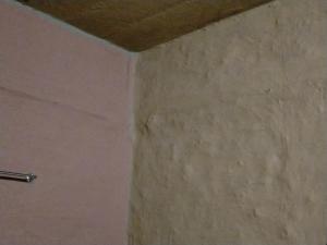 Fotografie z fotogalerie ubytování Risong Family Guest House v destinaci Majuli + 28 fotografií