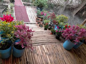 Fotografie z fotogalerie ubytování Risong Family Guest House v destinaci Majuli