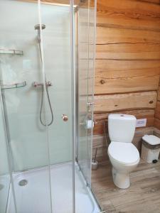 ห้องน้ำของ Lāču namiņš/Bear house +20 ภาพ