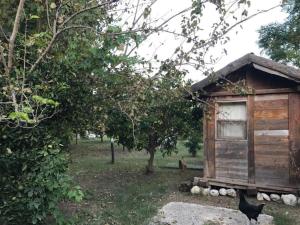 ein kleiner Holzschuppen mit einer schwarzen Katze daneben. in der Unterkunft Hane-i Keyif Pension in Cıralı