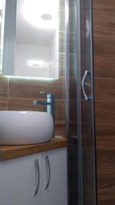 a bathroom with a sink and a glass shower at Apartament u Gosi! in Giżycko