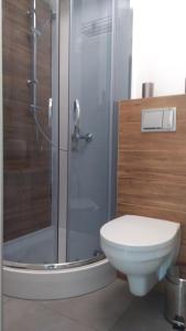 a bathroom with a toilet and a glass shower at Apartament u Gosi! in Giżycko