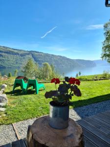 een plant in een pot op een tafel met uitzicht op een meer bij Nordfjordcabins Utvik in Utvik